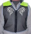 fantasy lion front ylo